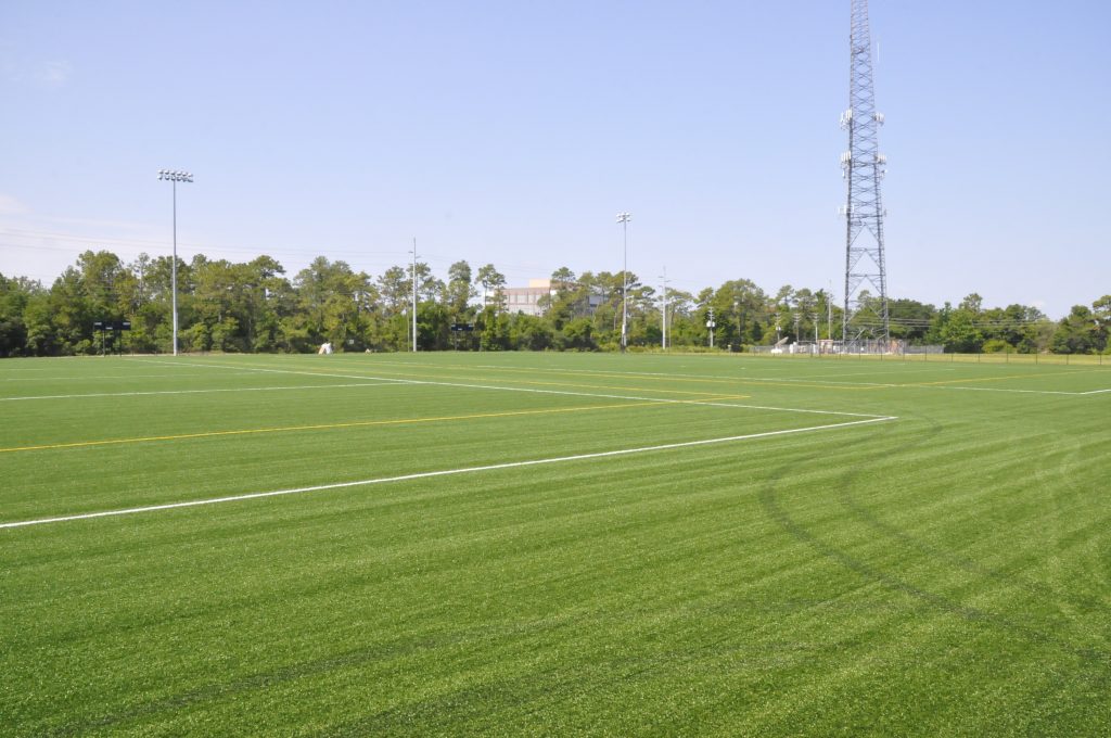 RWC Park with Cell Tower in the background