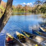 Picture of Wekiwa Springs State Park in Orlando, Florida. shows springs and six tandem canoes.